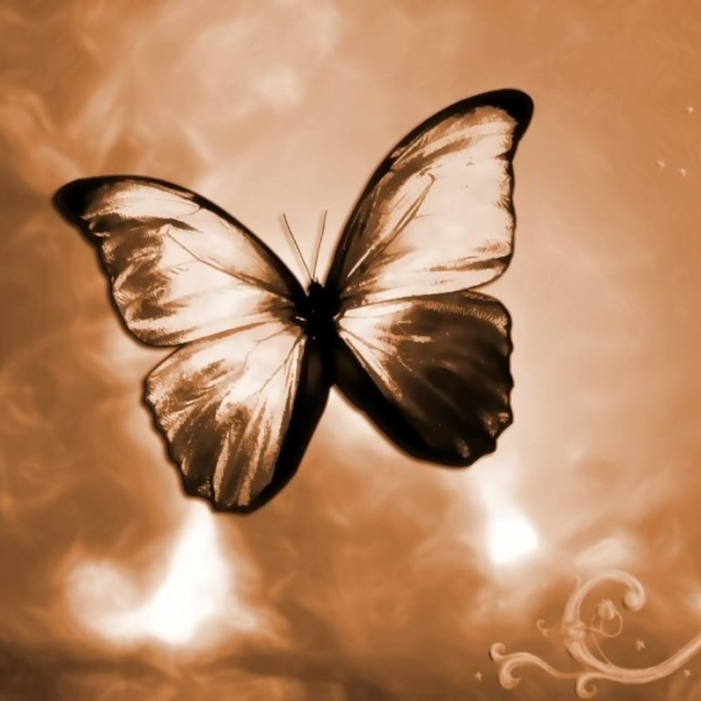 Meet your Posher, Ms V